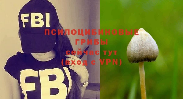 мяу мяу мука Нефтекумск