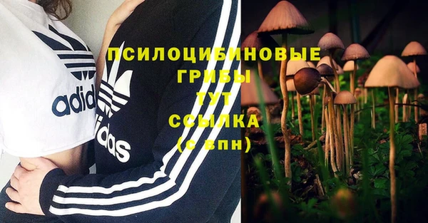 jwh Нефтегорск