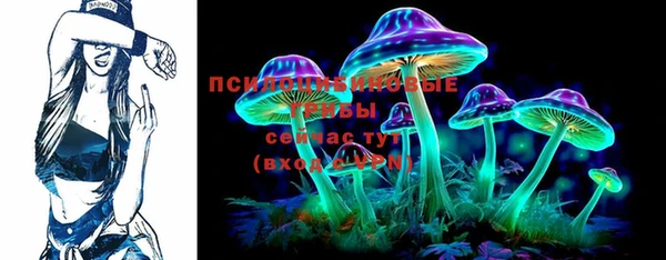 мдпв Зеленодольск