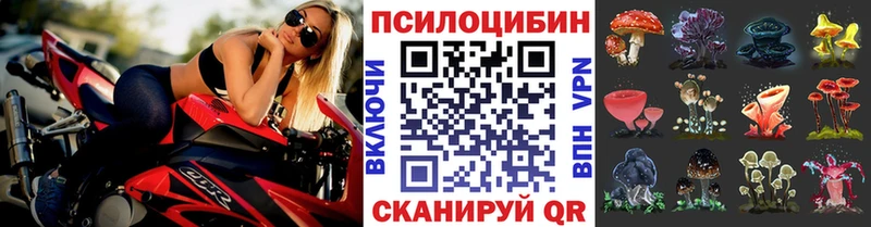 Галлюциногенные грибы Cubensis Старый Крым